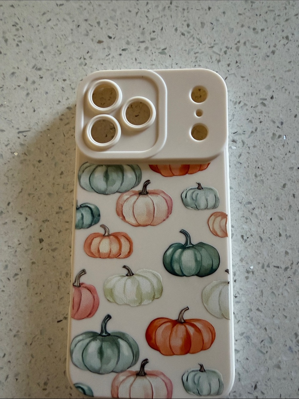 White Pumpkin Pattern Camera Phone Case - Compatible iPhone 17 pro max